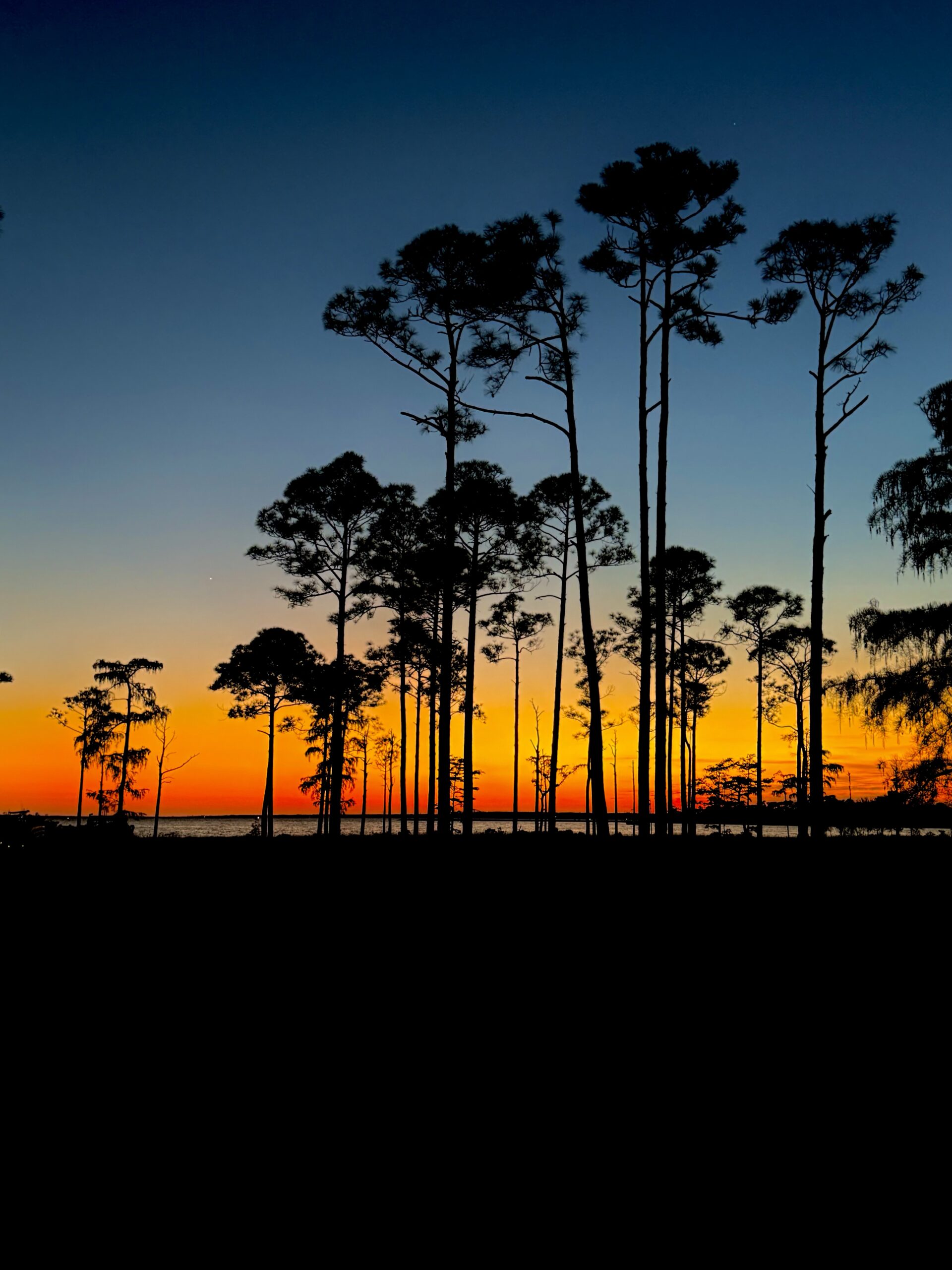 Pensacola, Florida