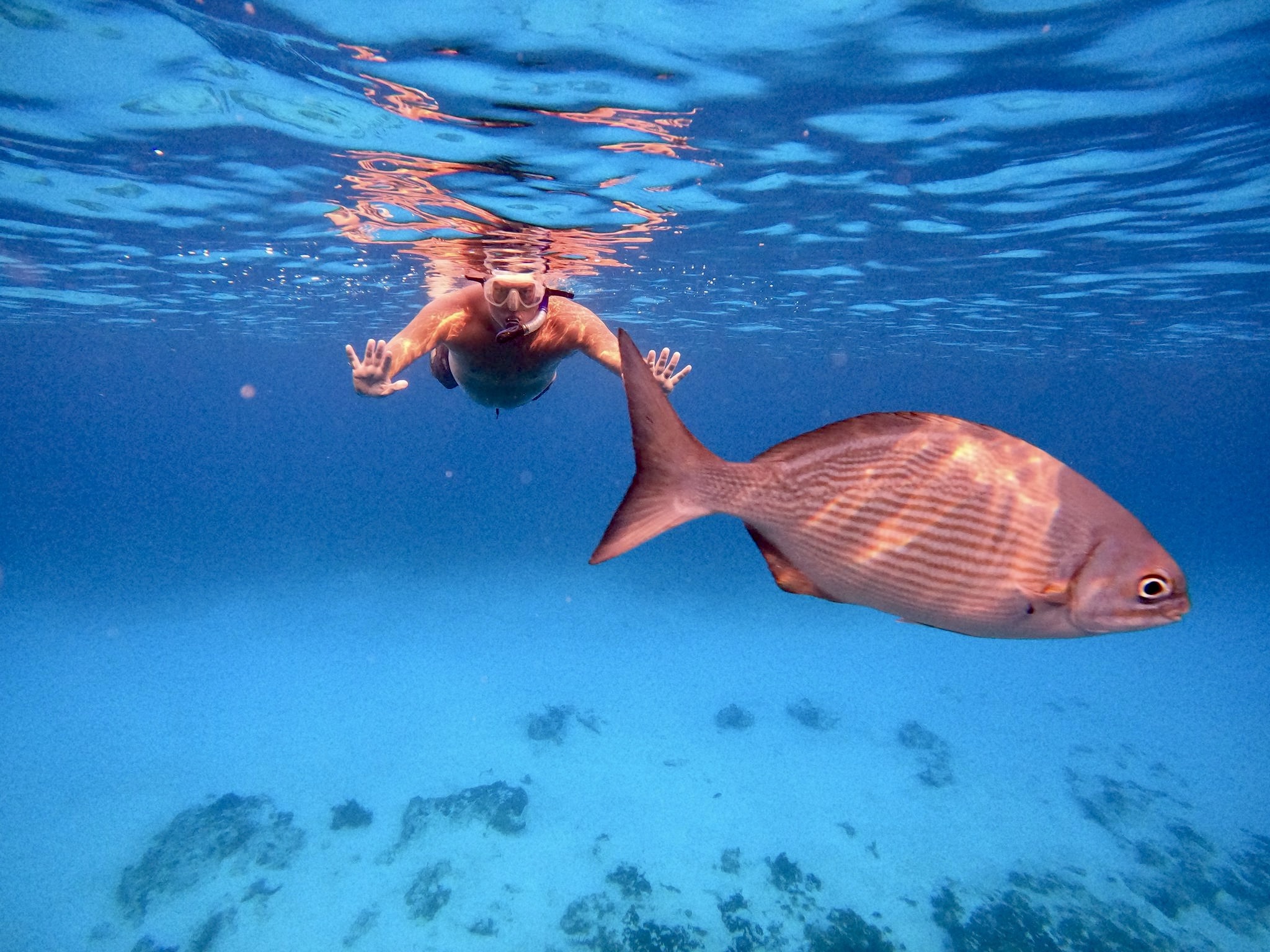 Cozumel, Mexico