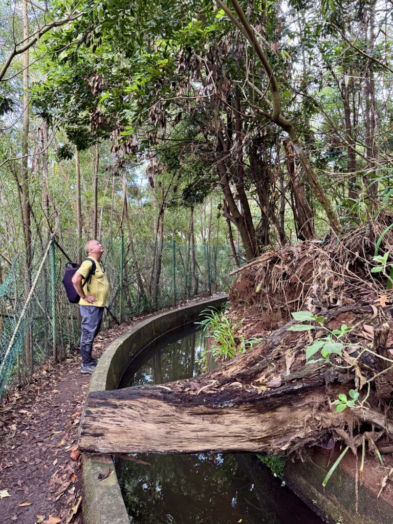 Corey looking up at a rootball