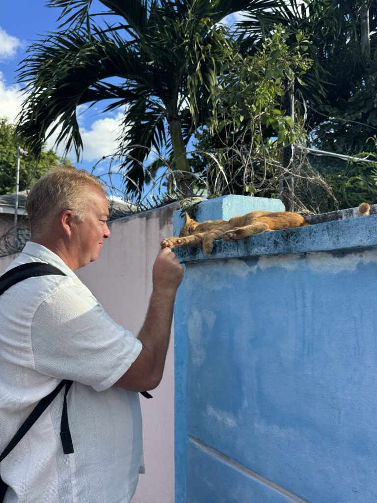 a man playing with a cat