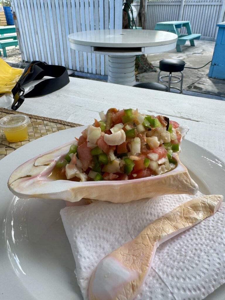 conch served in a shell